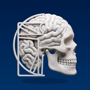 Material didáctico de Anatomía Regularización